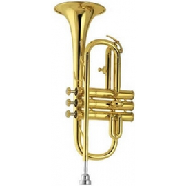 Корнет Amati AСR 252-0, фото 